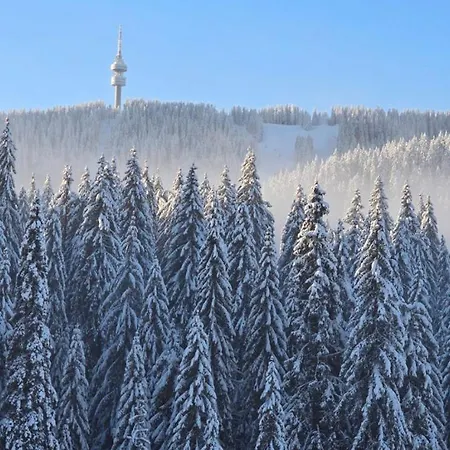 Forest Dreams Appartamento Pamporovo