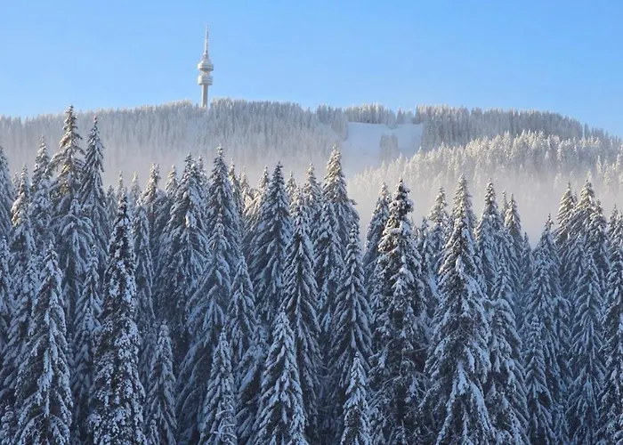 Forest Dreams Апартаменты Пампорово